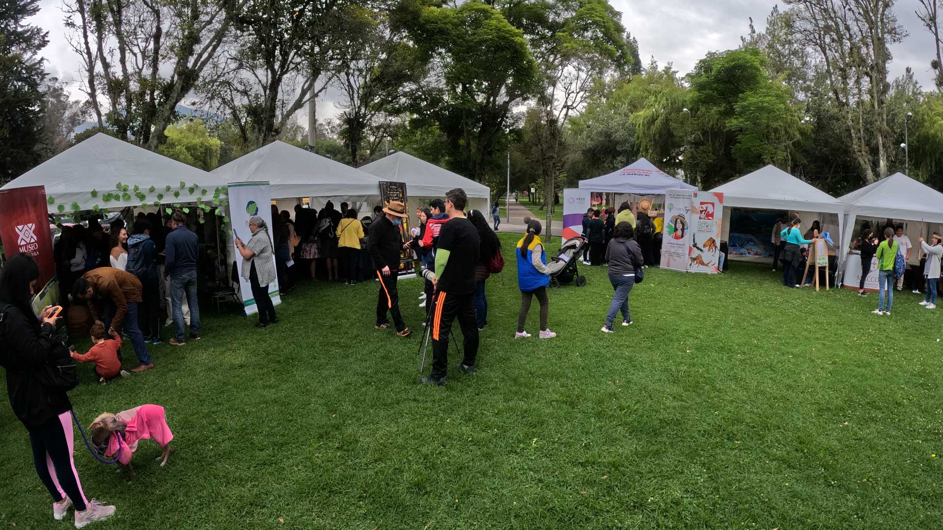 Feria Descubre la Amazonía