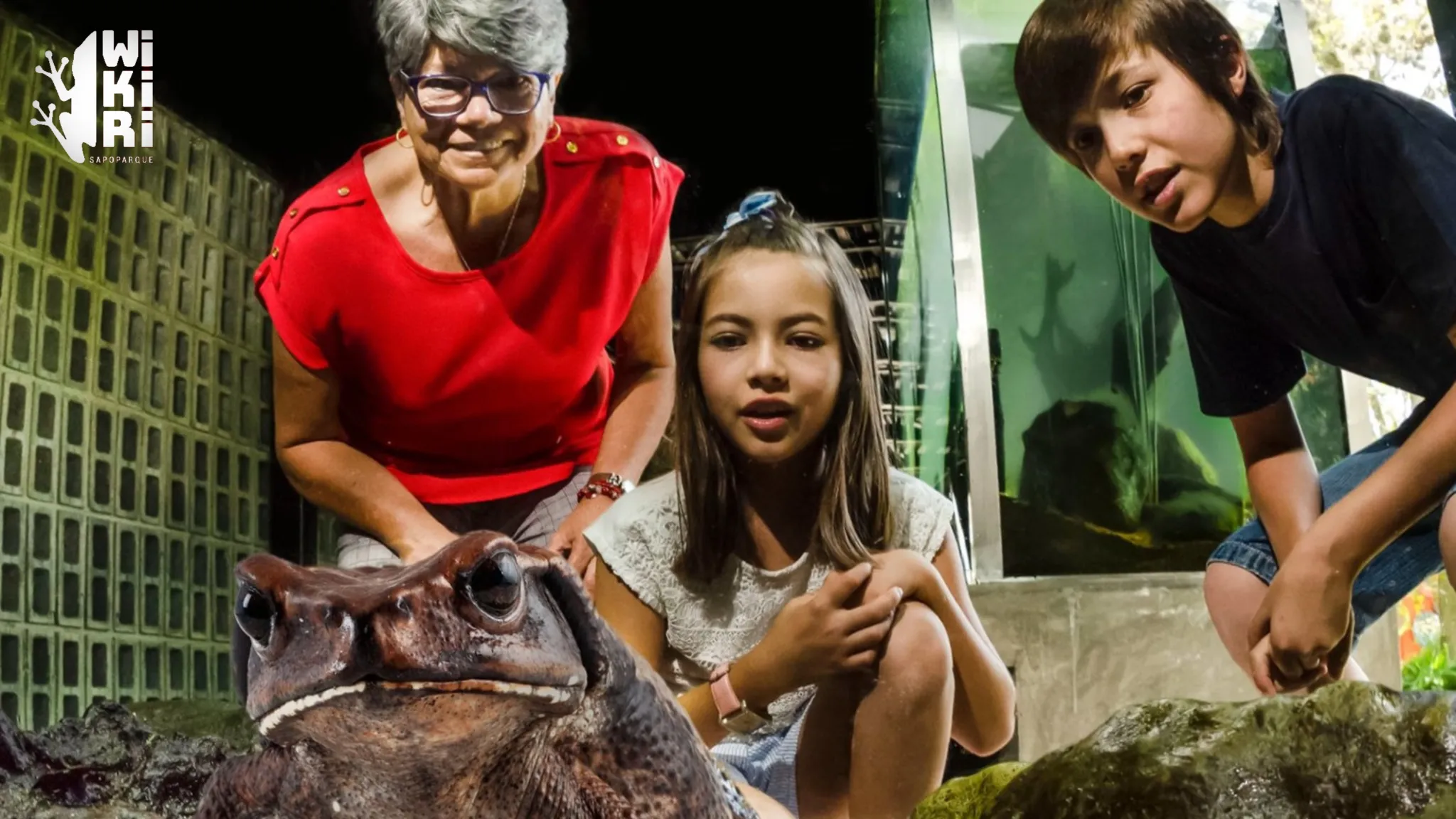 Exposición permanente: Wikiri Sapoparque