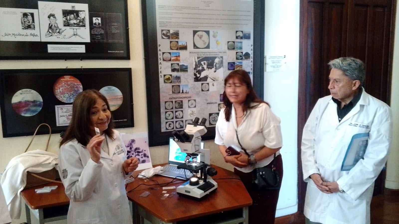 Guías Museológicas Al Museo De Medicina