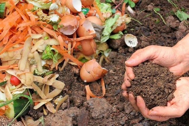 Taller de elaboración de compostera para la huerta